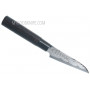 Paring Vegetable knife Tojiro Shippu Black FD-1591 9cm - 2