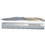 Folding knife Laguiole en Aubrac Pointe de corne LO212PCI 12cm - 4