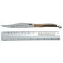 Folding knife Laguiole en Aubrac Scallop LO212PCIC 12cm - 4
