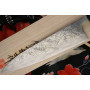 Gyuto Japanisches Messer Takeshi Saji Damascus SG2 Iron Wood HB-5708 21cm