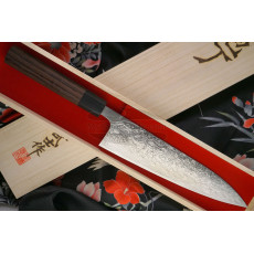 Japanilainen kokkiveitsi Gyuto Takeshi Saji Damascus SG2 Iron Wood HB-5708 21cm