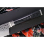 Cuchillo Japones Gyuto Ryusen Hamono Tanganryu chef TG-501 24cm