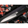 Gyuto Japanisches Messer Ryusen Hamono Tanganryu TG-502 21cm