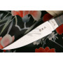Coltello da cucina giapponese Seki Kanetsugu Nami Mahogany 9201 10cm