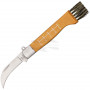 Mushroom knife Rough Rider RR1400 5cm - 1