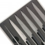 Steakmesser Deejo Titanium, Set von 6 Stück 2YP001 11cm