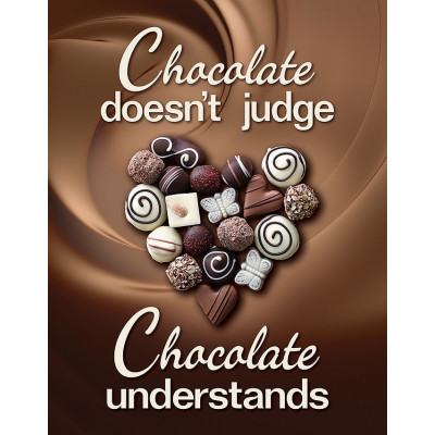 Blechschild Chocolate Understands TSN2269