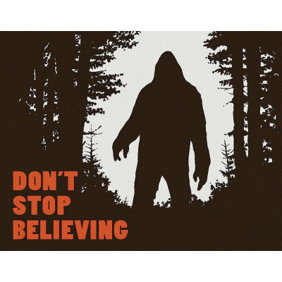 Жестяная табличка Don't Stop Believing TSN2195