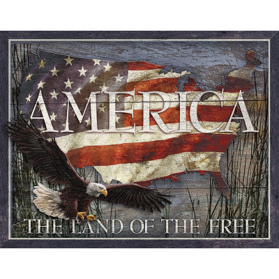 Blechschild America The Land of The Free TSN2159
