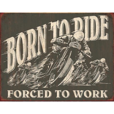 Blechschild Born To Ride TSN1885