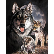 Blechschild Graham Wolf Experience TSN0914