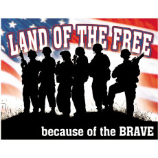 Cartel de chapa Land of the Free… TSN1818