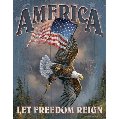 Жестяная табличка Let Freedom Reign TSN1668