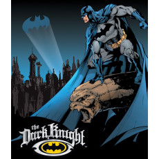 Targa in latta Batman The Dark Knight TSN1356