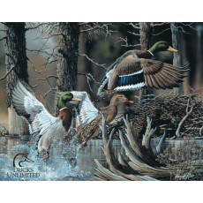 Cartel de chapa Ducks Unlimited TSN1204