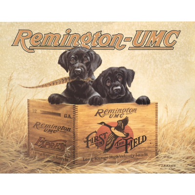 Blechschild Remington Finders Keepers TSN0932