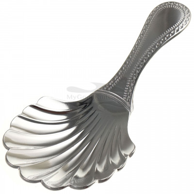Aoyoshi Caddy Spoon Shell Work 012976
