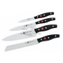 Kitchen knife set Zwilling J.A.Henckels Twin Pollux 4 pcs 30764-004-0 - 1