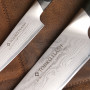 Kitchen knife set Tojiro DP Damascus Flash Gift Set C FF-GIFTSET-C