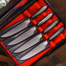 Набор кухонных ножей Tojiro DP Damascus Flash Подарочный набор FF-STEAKSET 11см