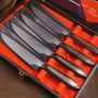 Juego de cuchillos de cocina Tojiro DP Damascus Flash Steak Gift Set FF-STEAKSET 11cm