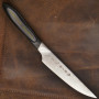 Набор кухонных ножей Tojiro DP Damascus Flash Подарочный набор FF-STEAKSET 11см