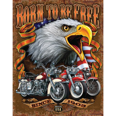 Targa in latta Born To Be Free TSN2451