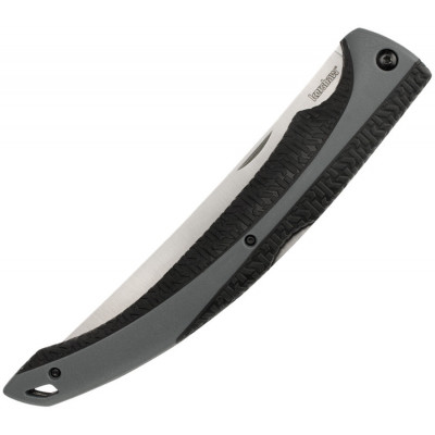 Folding knife Kershaw Fillet KS1258 15.9cm for sale