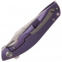 Folding knife Bestech Ghost Blue/Violet BT1905B 8.1cm