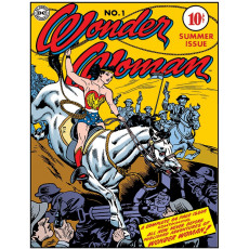 Targa in latta Wonder Woman 1 Cover 2086