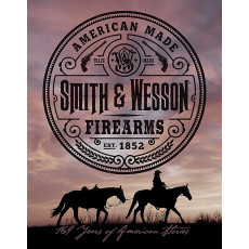 Blechschild S&W American Firearms 2479