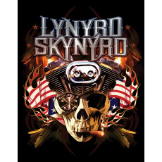 Cartel de chapa Skynyrd Motor Skull 2516