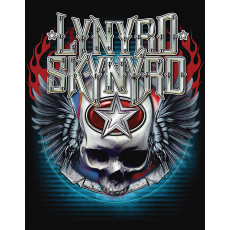 Жестяная табличка Skynyrd Winged Skull 2517