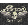 Жестяная табличка Poison Rock N Roll 2522