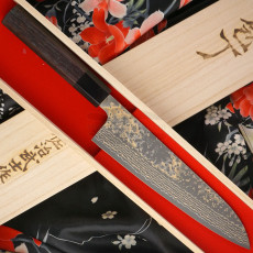 Japanilainen kokkiveitsi Gyuto Takeshi Saji VG10, rosewood HJ-41708 21cm