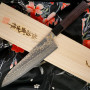Cuchillo Japones Gyuto Takeshi Saji VG10, rosewood HJ-41708 21cm