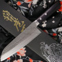 Santoku Coltello da cucina giapponese Kunio Masutani VG-10 Damascus M-3221 17cm