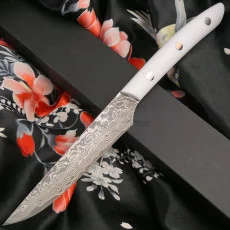 Japanese kitchen knife Takeshi Saji Steak TSS 14cm