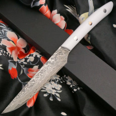 Японский кухонный нож Takeshi Saji Steak TSS 14см