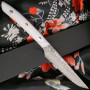 Japanisches Messer Takeshi Saji Steak TSS 14cm
