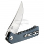 Folding knife Ganzo Firebird Gray FH923-GY 8.9cm