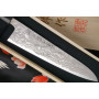 Gyuto Japanese kitchen knife Tojiro Handmade J6 21cm - 2