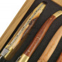 Steak knife Laguiole en Aubrac Set of 6 mixed woods, matt brass 62C99BDLBH 11cm