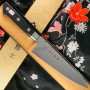 Gyuto Japanisches Messer Tojiro DP Cobalt Alloy F-807 18cm