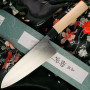 Deba Japanese kitchen knife TOJIRO Hammered Black F-1077 21cm