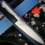 Gyuto Japanisches Messer Tojiro Pro F-890 24cm