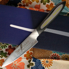 Schälmesser Obst- / Schälmesser TOJIRO DP Damascus Flash FF-PA100 10cm