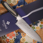 Gyuto Couteau Japonais Tojiro DP Damascus Flash FF-CH180 18cm