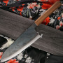 Gyuto Japanese kitchen knife Ittetsu Tall Shirogami IW-11844 21cm