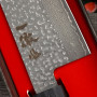 Gyuto Japanese kitchen knife Ittetsu VG-10 Damascus IWZ-105 24cm